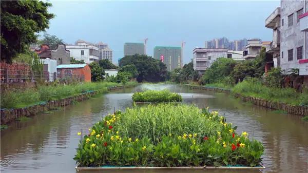 沙河5.jpg