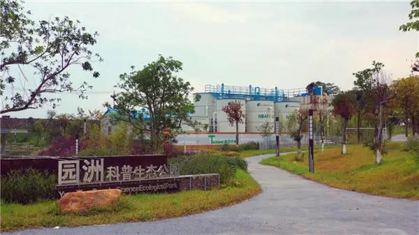 沙河7.jpg