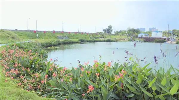 沙河8.jpg
