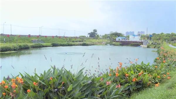 沙河9.jpg