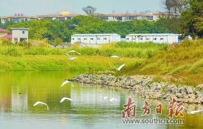 惠州.jpg