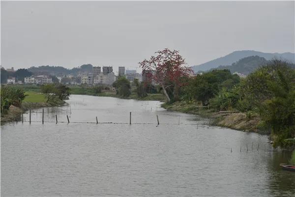 练江2.jpg