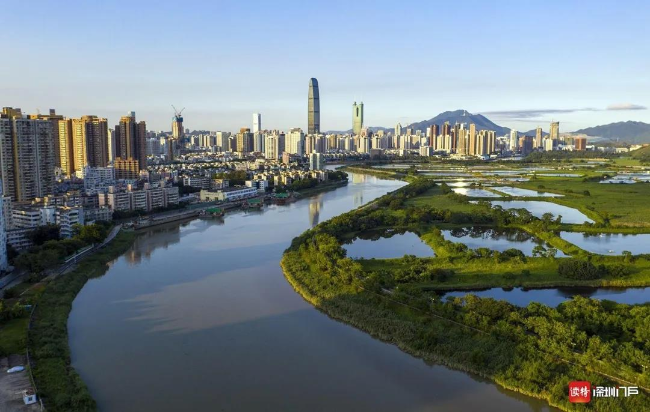 深圳6.jpg