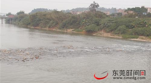 石马河.png
