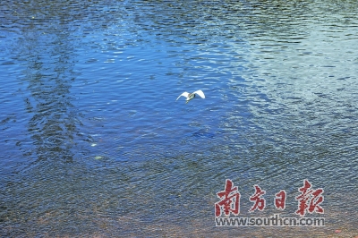 观澜河.jpg