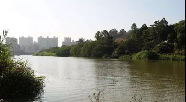 石马河2.jpg
