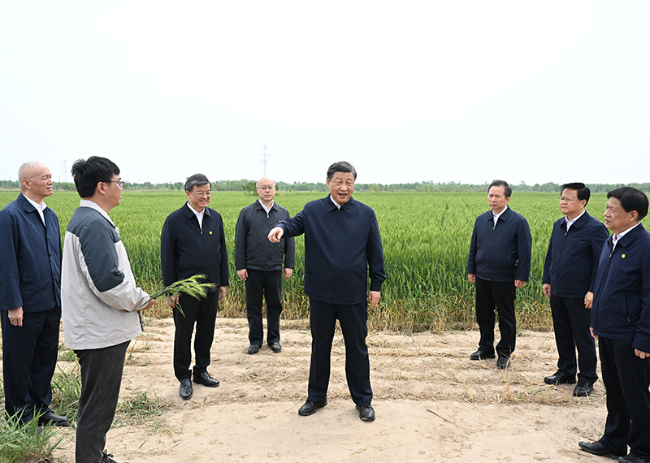 云顶老虎机