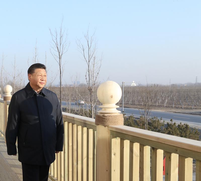 云顶老虎机